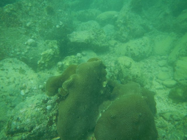 dscn1566